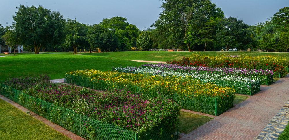 Flowers @ Sunder Nursery 2009-12