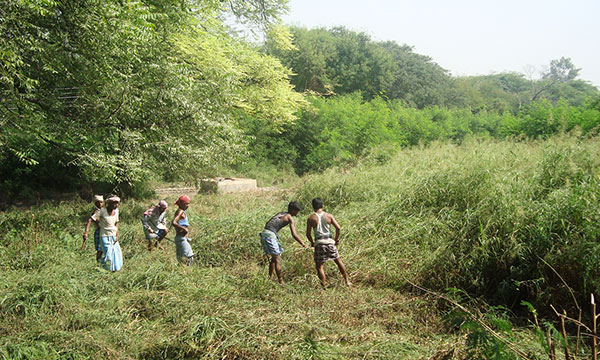 Nursery Development