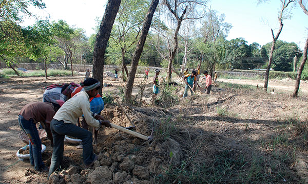 Nursery Development