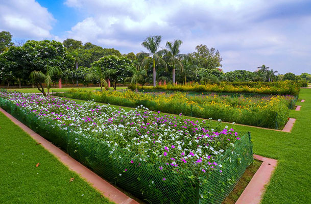 Nursery Development