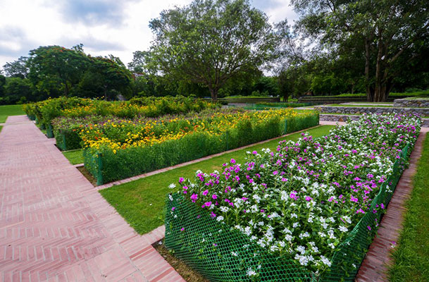 Nursery Development